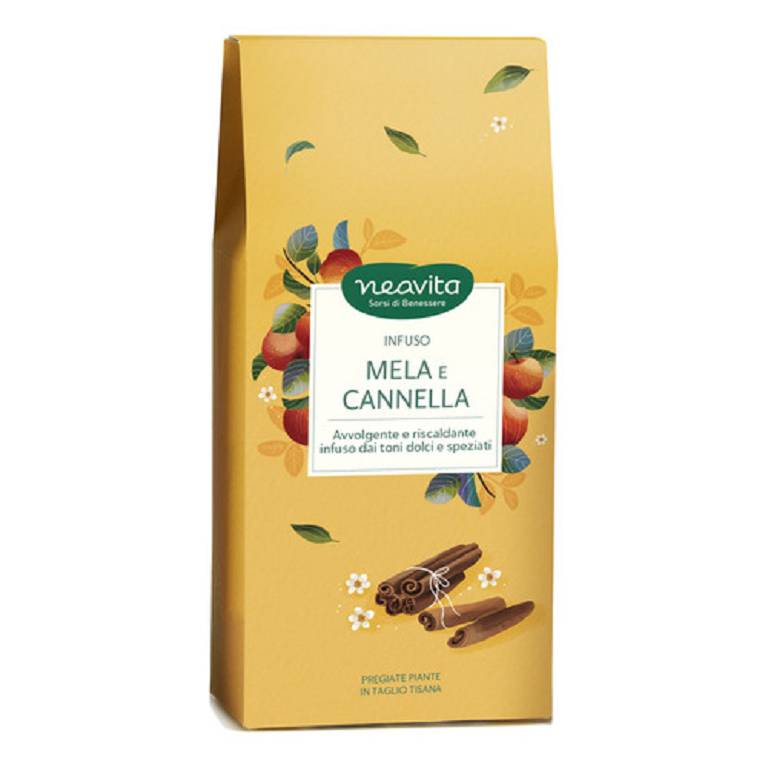 RICARICA INFUSO MELA/CANN 100G