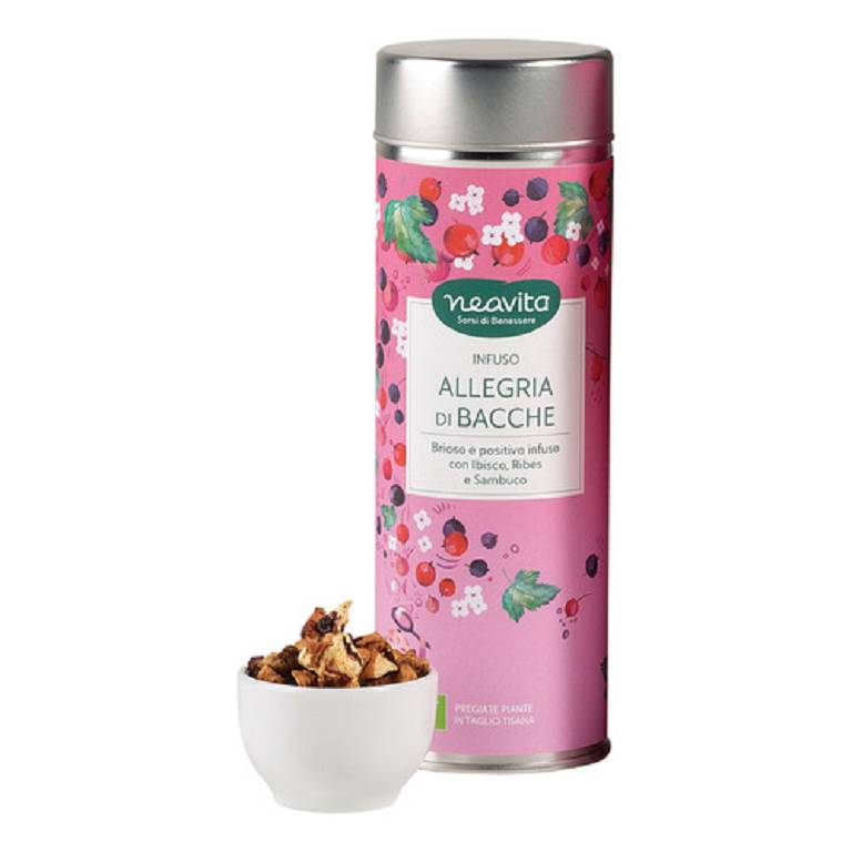 SILVER TIN ALLEGRIA BACCHE BIO