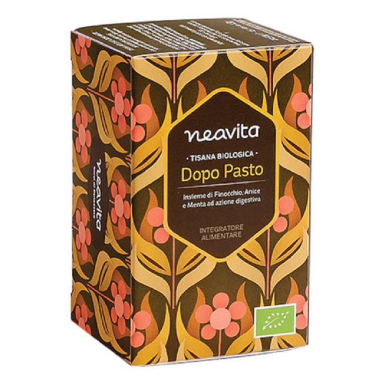TISANA FILTRO DOPO PASTO BIO